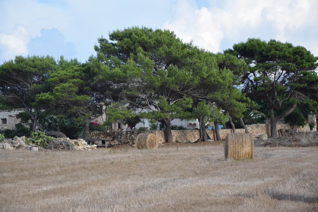 La Pinetina Di *